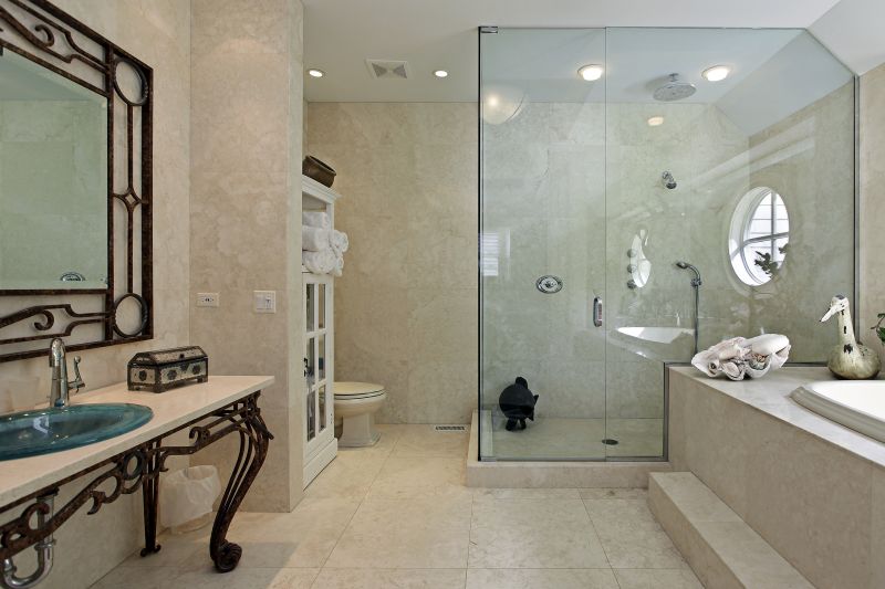 Sophisticated Shower Design
